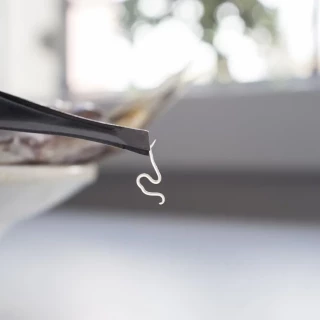 Alerta sanitaria «grave» por la presencia de anisakis de un pescado que se vende en supermercados de España