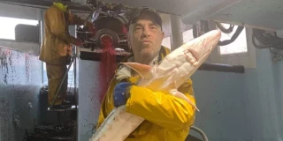 Especies tropicales en el Cantábrico: el cambio climático ha llegado al mar