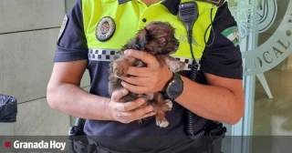 Denunciado en Granada por colgar del cuello con una cuerda a una cachorra delante de la Policía Local