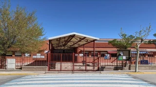 Dos pitbull se cuelan en un colegio y muerden a una niña