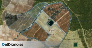 El juez levanta el bloqueo a los pozos ilegales de la Casa de Alba junto a Doñana pese a la oposición de la Fiscalía