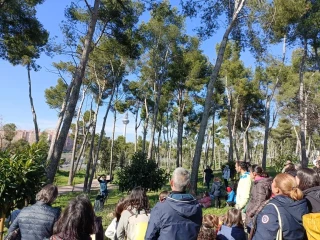 El Ayuntamiento de Madrid proyecta convertir el Pinar de La Elipa en un “parque duro” con amplias zonas pavimentadas