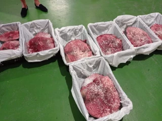 El Gobierno acuerda el cierre definitivo de la pesquería deportiva y recreativa de atún rojo