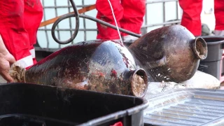 Descubrimiento histórico en el Mediterráneo: una nave cananea de hace 3300 años hallada a 1,8 kilómetros de profundidad con toda su carga