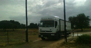 Ley de bienestar animal europea: otro torpedo en la línea de flotación del toreo