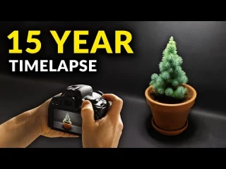 He filmado plantas creciendo por 15 años (timelapse)