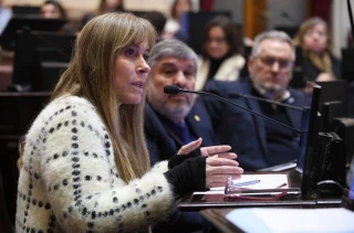 Un senador libertario quiso abrir la puerta a la legalización de la venta de niños