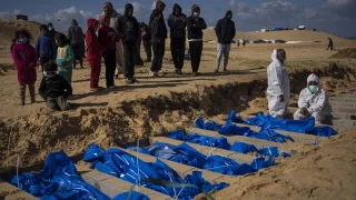 The Lancet advierte que el número de muertos en Gaza podría superar los 186.000 (eng)