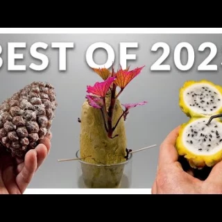 4 años en 8 minutos