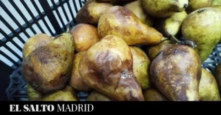 Alimentos podridos, agua marrón e impagos de nóminas: una escuela infantil pública de Madrid, al límite