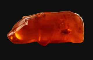 El oso de ámbar de Słupsk, un excepcional amuleto prehistórico