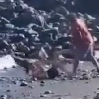 Un turista agrede al ladrón que intentó robarle la cartera en Tenerife