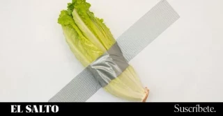 Un informe revela el cóctel de pesticidas que acompaña a las ensaladas envasadas