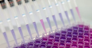 El Covid-19 provocó déficits cognitivos persistentes, según un estudio