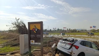 Catástrofe medioambiental en el Parque Natural de l'Albufera de Valencia tras el paso de la DANA