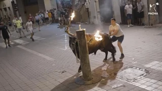 La prioridad de Emergencias en Valencia hoy en plena DANA: Los toros