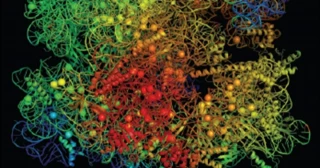 Investigadores descubren el talón de Aquiles de las bacterias resistentes a los antibióticos (eng)