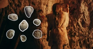 Hallan en Burgos que los niños neandertales podrían haber coleccionado fósiles hace 50.000 años, igual que los niños modernos coleccionan cromos