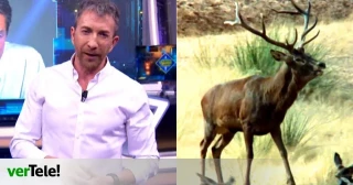 'El Hormiguero' gana por solo tres décimas a 12 minutos de animales de 'La Revuelta' tras vetar a su invitado