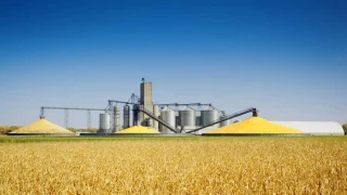 Suecia, Noruega y Finlandia empiezan a acumular cereales en gran cantidad: "Nos preparamos para el peor escenario"