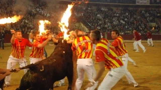 Ayuso eliminará la prohibición expresa del toro embolado en Madrid