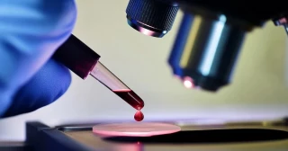 Cientos de frascos con virus mortales desaparecieron de un laboratorio en Australia