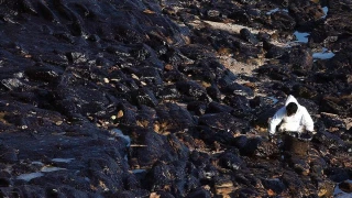 España pierde un recurso en Londres para cobrar los 855 millones del seguro del «Prestige»