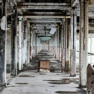 Colapso: una cronología, qué esperar década tras década [EnG]