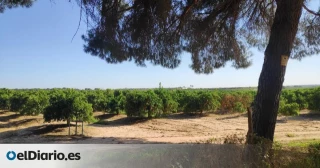 El Gobierno ordena cerrar otra vez los pozos ilegales de la Casa de Alba tras descartar el juez hacerlo por la vía penal