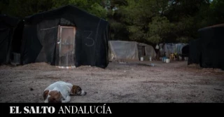 Las empresas agrícolas siguen incumpliendo con los temporeros: agresiones e impagos en Huelva y Almería