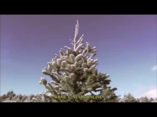 Treevenge, la masacre de los árboles