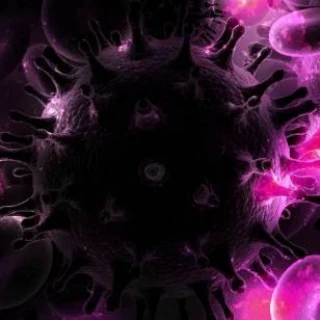 Avances científicos del año 2024 según la revista Science