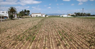 Mazón quiere aprovechar el shock provocado por la DANA para facilitar la especulación ubanística