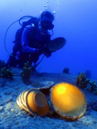 Naufragio del siglo V con 10.000 platos de cerámica encontrados en Turquía [Eng]