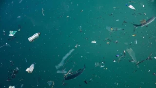 Encienden todas las alarmas al detectar una relación entre los microplásticos y el cáncer