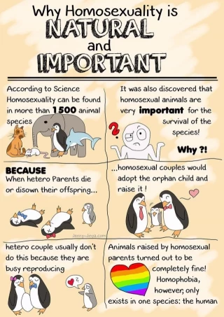 Esos leones tan poco “varoniles”