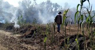 Denuncian una "grave situación sanitaria" en Arcos por la quema de restos de poda: "Muchos vecinos han acudido a Urgencias"