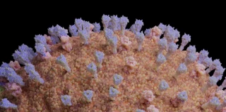 ¿Es peligroso el metapneumovirus humano (HMPV) qué ha desatado la alarma en China?