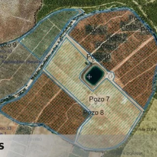 La regularización de los pozos ilegales de la Casa de Alba sigue adelante pese a ser pillados dos veces "despilfarrando" agua