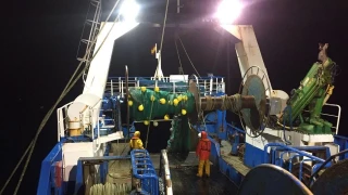 La «misteriosa» desaparición del lirio trae de cabeza a los arrastreros gallegos