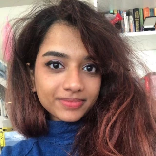 Ontario cancela el contrato de 100 millones de dólares con Starlink a raíz de los aranceles estadounidenses [ENG]