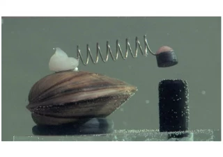 En Poznań, Polonia, ocho almejas deciden si la gente de la ciudad tiene agua o no [ENG]