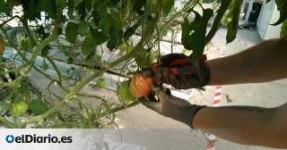 “La producción de alimentos va a disminuir en los próximos años por el calentamiento global, eso es un hecho"