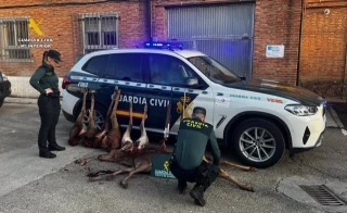 Sorprendidos cuatro cazadores furtivos con un cadáver de cierva, seis patas y dos cornamentas