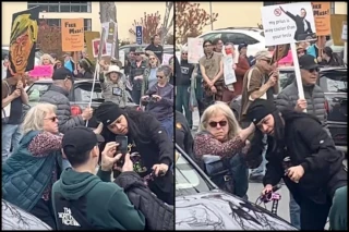 Simpatizante de Trump amenaza con un táser a manifestantes que protestaban contra Tesla y es reducido por una profesora universitaria [EN]