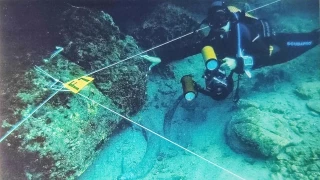 La joya arqueológica que esconde La Manga: un pecio fenicio de 2.600 años con 68 colmillos de elefante