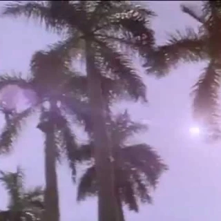 Corrupción en Miami