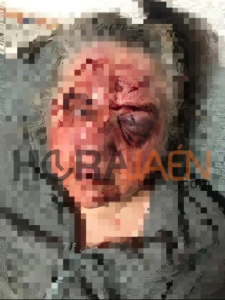 Un hombre agrede brutalmente a un matrimonio en Jaén y hiere a varios policías