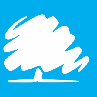 La mili en España: Opinión de los españoles - Electomanía