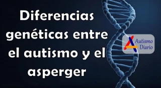Diferencias genéticas entre el autismo y el asperger